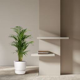 Everyplants Areca palm - Ø19cm - ↕85cm (8720634285780)