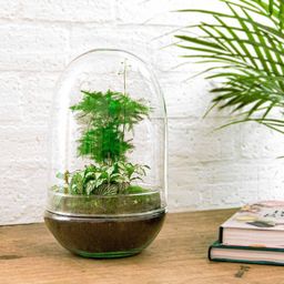 Urbanjngl DIY terrarium - Egg XL - ↕ 30 cm (8720872020181)