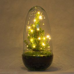 Urbanjngl DIY terrarium - Egg Christmas - Kerst decoratie ↕ 25 cm (8720872020167)