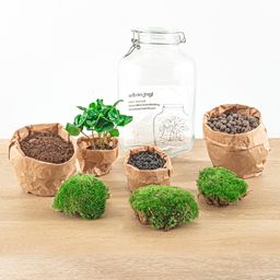 Urbanjngl DIY terrarium - Jar - Coffea Arabica - ↕ 28 cm - Normal Jar (8720872020464)