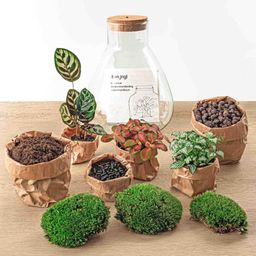 Urbanjngl DIY terrarium - Sam Calathea with Light - ↕ 30 cm - Rake + Shovel + Tweezer (8720726958363)