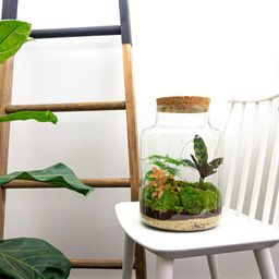 Urbanjngl DIY terrarium - Milky - ↕ 30 cm - Normal (8719326972428)