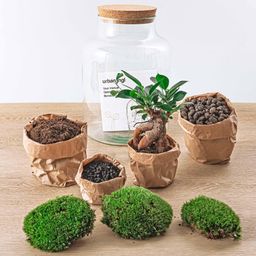 Urbanjngl DIY terrarium - Milky met bonsai - ↕ 30 cm  - Normal (8719327448670)