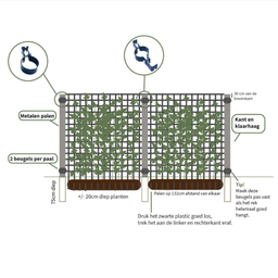 Hedge to go Hedera Hibernica - Klimop - Kant-en-Klaar Haag |  ↔120cm - ↨180 cm (8718868535054)