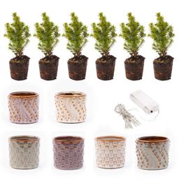 Urbanjngl Mini-kerstboom set 6 - Inclusief pot set Madrid + 20 led lights (8720872023434)