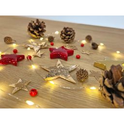 Urbanjngl Christmas Terrarium Decoration Kit! (23437)