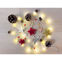 Urbanjngl Christmas Terrarium Decoration Kit! (23437)