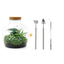 Urbanjngl DIY terrarium - Fat Joe Groen - ↕ 30 cm - Rake + Shovel + Tweezer (8720726958653)