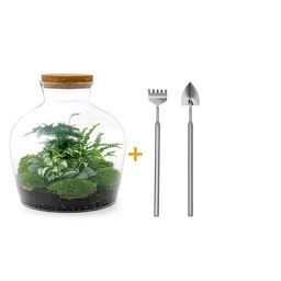 Urbanjngl DIY terrarium - Fat Joe Groen - ↕ 30 cm - Rake + Shovel (8720726958646)
