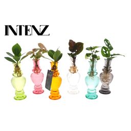 Meergroothandel Kamerplanten Mix in Venice Glas - 6 stuks - Ø7cm - ↕20cm (45185)