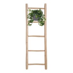 Meergroothandel Hedera Helix Groen - Hangpot Wit / Basic - Ø17cm - ↕cm (31845)