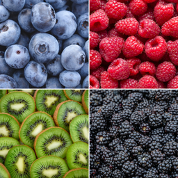 Plants by frank "Zomervruchten" BIO Fruitplanten mix set van 4 verschillende soorten (8721001421053)
