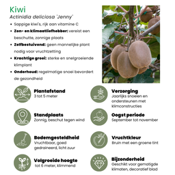 Plants by frank "Zomervruchten" BIO Fruitplanten mix set van 4 verschillende soorten (8721001421053)