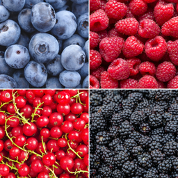 Plants by frank "Vruchtenparadijs" BIO Fruitplanten mix set van 4 verschillende soorten (8721001421039)