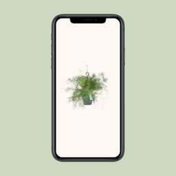 Asparagus Sprengeri Hang (8720634284202)