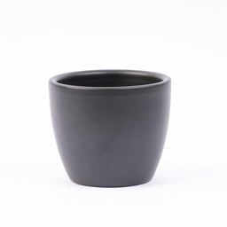 Mini planten set 6 - Inclusief 6x pot Boule Antraciet (8720872023458)
