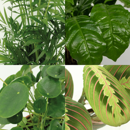 Diervriendelijke plantenbox - 4 stuks (8720634287159)