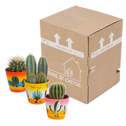 House of cactus Cactus mix 8.5 cm - 3x - in Mexicaanse pot (8720387961207)