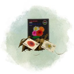 Flowerbulbs amsterdam Mix Romantic Beauties, 6 Dahlia Playa Blanca & 6 Dahlia Heatwave knollen voor 2 m² (8720938490774)