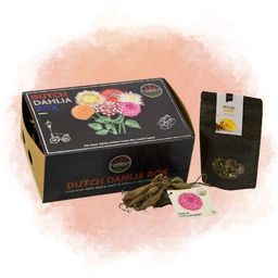 Flowerbulbs amsterdam Dutch Dahlia Box L, set van 6 dahlia's + Mango Kokos Thee, geschenk (8720938490842)