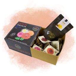Flowerbulbs amsterdam Dutch Dahlia Box M, set van 4 dahlia's + Mango Kokos Thee, geschenk (8720938490835)