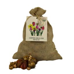Flowerbulbs amsterdam Super Lasting Wild Mix - Duurzame voordeelzak, 100 bloembollen voor 2,5 m2 bloemenpracht (8720938490927)