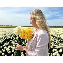 Flowerbulbs amsterdam Super Narcissus Mix - Duurzame voordeelzak, 100 bloembollen voor 2,5 m2 bloemenpracht - Maat 12/14 (8720938490880)