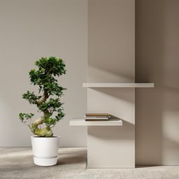 Ficus Microcarpa Ginseng - 80 cm - Ø27cm (8721081685543)
