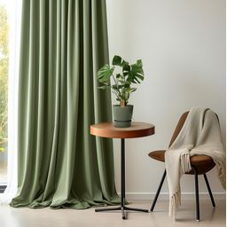 Monstera Deliciosa P21 (29830)