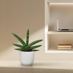 Sansevieria Skyline - 25 cm - ø10,5 (8721081685062)