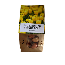 Tulpenbollen Strong Gold – 20 Stuks | KH Bloembollen® | Gele Tulp – Stralend & Krachtig – Voor Tuin of Pot – Maat 11/12 – Vers van de Teler (08720256864592)