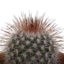 House of cactus Cactus mix 5.5 cm - 5x - in terracotta pot (8720387961023)