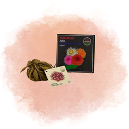 Flowerbulbs amsterdam 24 dahlia mystery day knollen voor 4 m², grootbloemige uitstraling (8720938490668)
