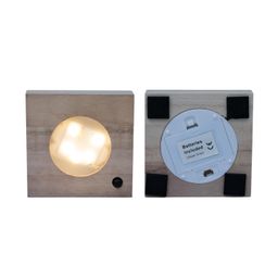 Calathea in Samoa glas met LED verlichting (8720634287401)