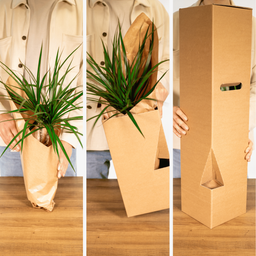 Verrassingsbox - - x5 (8720634287715)