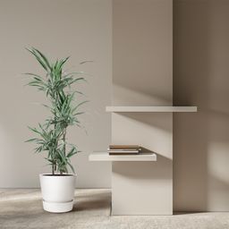 Dracaena Warneckei - 145 cm - ø30 (8721055692744)