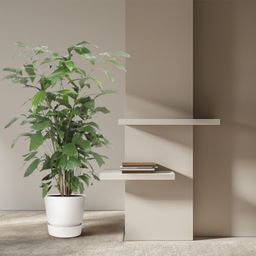 Caryota Mitis - 140 cm - ø27 (8721022569918)