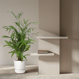 Chamaedorea Seifrizii - 140 cm - ø27 (8721022569956)