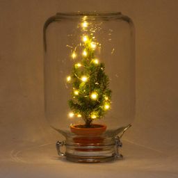 Easyplant - Christmas - Kerst decoratie (8720726958714)