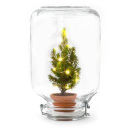 Easyplant - Christmas - Kerst decoratie (8720726958714)