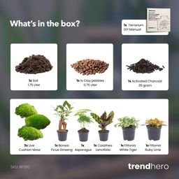 Planten terrarium navulling & Startpakket - 5 planten (8720872021614)