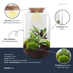 DIY Planten terrarium met licht - Sven XL Botanical - Ø 23 cm ↑ 43 cm - No tools (8720872020471)
