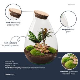 DIY Planten terrarium - Drop XL Palm - Ø 24 cm ↑ 37 cm - No tools (8720726958820)