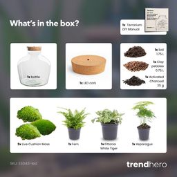 DIY Planten terrarium met licht - Fat Joe Green - Ø 29 cm ↑ 30 cm - No tools (8720726958639)