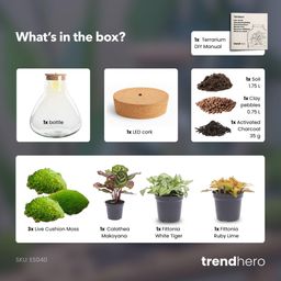 DIY Planten terrarium met licht - Sam XL Red - Ø 30 cm ↑ 32 cm - No tools (8720726958097)