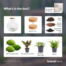 DIY Planten terrarium (met verlichting) - Bolder Bob - Ø 31 cm ↑ 30 cm - Met LED-kurk (8719327448625)
