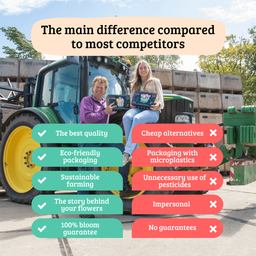 Flowerbulbs amsterdam Early Spring - 30 bloembollen (8720938490293)