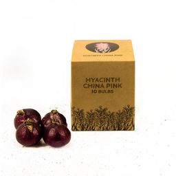 Flowerbulbs amsterdam China Pink- 10 bloembollen - Maat 14/15 (8720938490040)