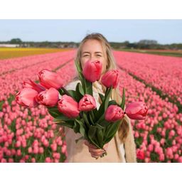 Flowerbulbs amsterdam Pink Impression - 15 bloembollen - Maat 12+ (8720938490200)