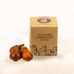 Flowerbulbs amsterdam Pink Impression - 15 bloembollen - Maat 12+ (8720938490200)
